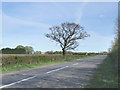 Lincolnshire road scene.