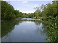 The Lake at Billing Arbours