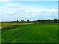 Farmland South of the A63