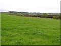 Crockaveela Townland