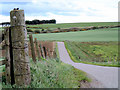 On the back road to Inverbervie