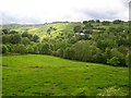 Meadow and the Holywell Brook valley, Old Lindley