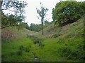 Hidden valley near The Royalty, Frodsham