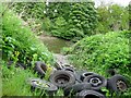 Old car wheels dumped by the River Wear