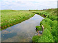 Tower Ditch, Beachlands, Pevensey Bay