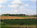 Swinstead from Forstedd Hill