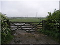 Gate and Grey Sky