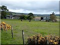 Bonnethill Farm near Keith