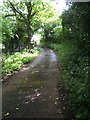 Track leading to Hurst Hill Farm