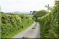 Arlington: lane to Coombeshead