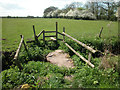 Crimes Brook footbridge