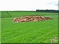 Muck heap near Annamuick