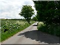 Spen Lane, Holme on Spalding Moor