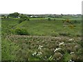 Lurganboy Townland