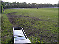 Horses in a field off Kings Copse Road