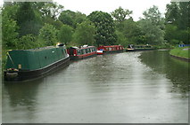 ST7863 : Kennet & Avon Canal north of Milbrook Swing Bridge by Pierre Terre
