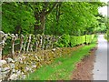 A neatly maintained hedge at Altries