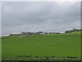 Cattle Market, Whitefordhill