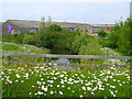 Disused Factory, Hampden Park