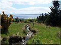 Rhu - Helensburgh, Hill House Track, unnamed burn