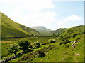 Farmland at Nant-y-gwyrddail