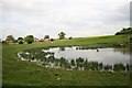 Duckpond at Kelstern