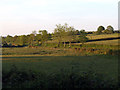 Fields either side of a country road