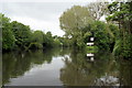 River Avon above Weston Cut, Locksbridge, Bath