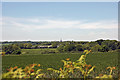 Farm land north of Lower Bordean