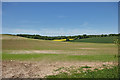 Farmland west of Lower Bordean