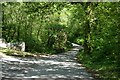 Bridge near Rowse