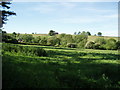 Valley of the Ash Brook