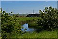 Elmley Dyke