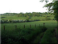 Fields beside the B5110