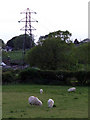 Grazing sheep and a pylon