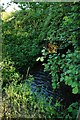 The River Rother. Taken from the small functional bridge.