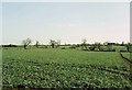 Field of crop south east of Rode, Wiltshire