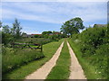 Driveway to Stamford Hall