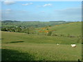 Looking over the Nant yr Odyn to Clocaenog Forest