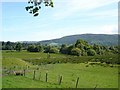 Fields near Trefriw