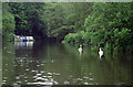 River Avon, Conham Ferry