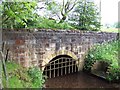 Bridge over the infant River Crimple