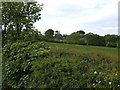 Farmland near Cutthorpe