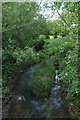 Small river that runs through Rye farm