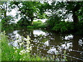 Pond at Lane End Farm