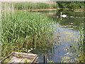 SW5433 : Pond near Trewinnard Mill by Sheila Russell