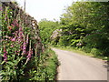 Lane at Ninnesbridge: St Michael