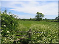 Stile near Stamford Hall