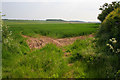 Farmland between Dovendale and Maltby