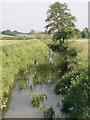 Little Avon River from Matford Bridge